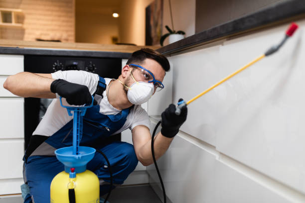 Best Best Pest Control Near Me  in Sherwood Manor, CT