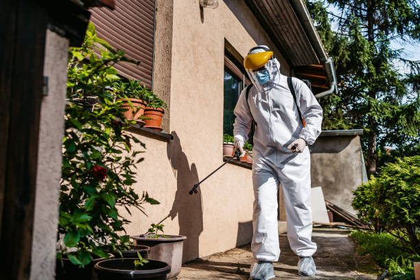 Best Flea Control Services  in Sherwood Manor, CT