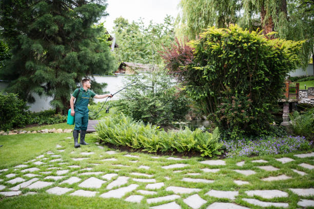 Best Emergency Pest Control  in Sherwood Manor, CT