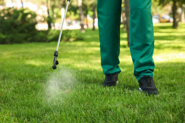 Best Cockroach Control Services  in Sherwood Manor, CT