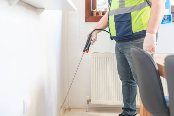 Flea Control Services in Sherwood Manor, CT