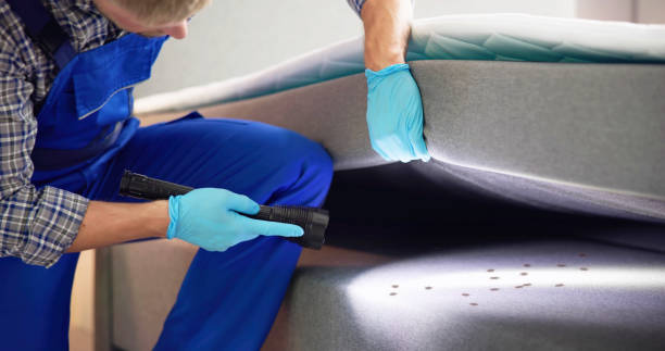 Best Bed Bug Extermination  in Sherwood Manor, CT